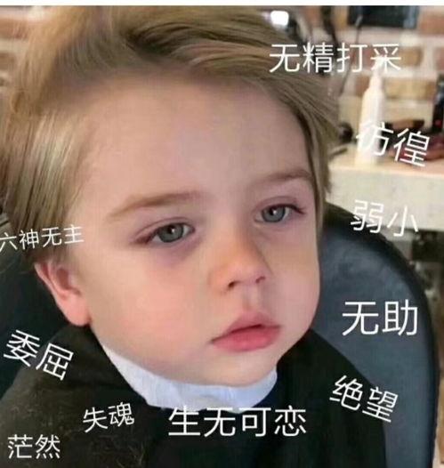 微信表情吃瓜吃瓜是什么意思啊