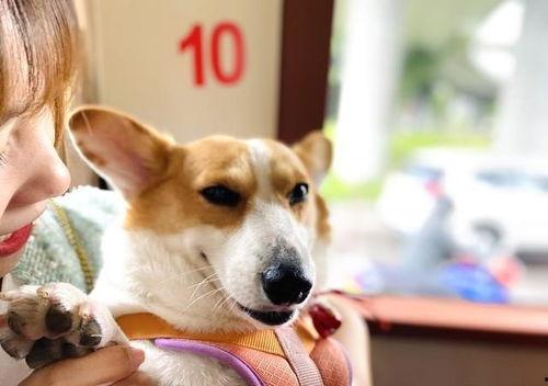 娱乐爆料吃瓜八卦图片搞笑,爆笑八卦，笑料横生！