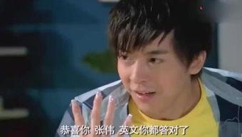 搞笑电视连续剧,搞笑电视连续剧的欢乐盛宴