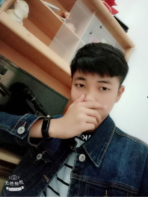 文章歌手个人资料,[歌手姓名]的音乐旅程与成就