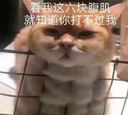 八块腹肌表情包,八块腹肌表情包带你领略健身魅力